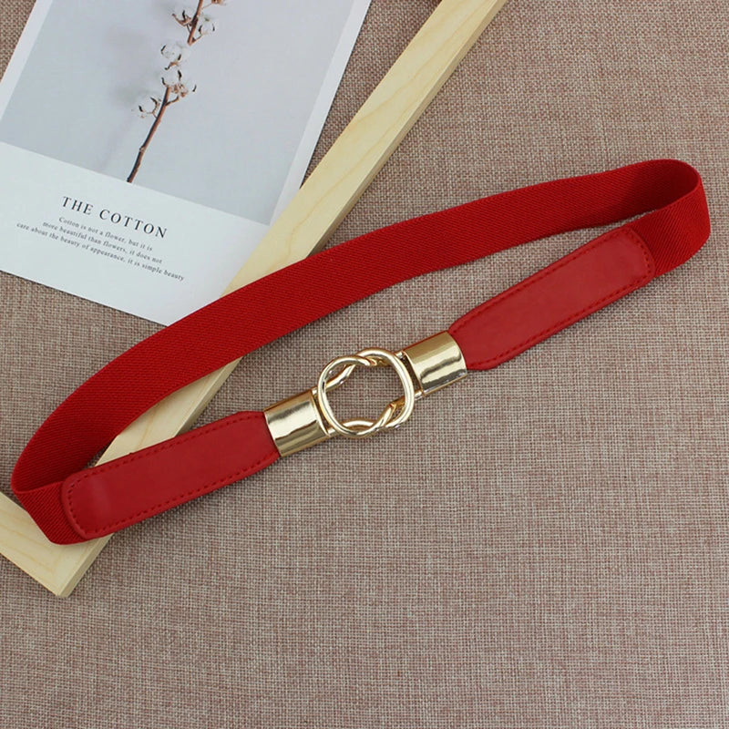 Elastic Belts Women Dress Belt Fashion Thin Female Waist Belt With Metal Buckle