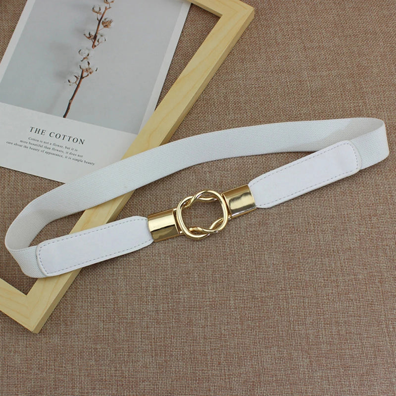 Elastic Belts Women Dress Belt Fashion Thin Female Waist Belt With Metal Buckle